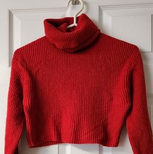 Wilfred Crop Red Turtleneck